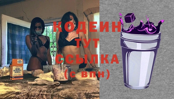 хмурый Богородицк