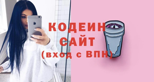 хмурый Богородицк