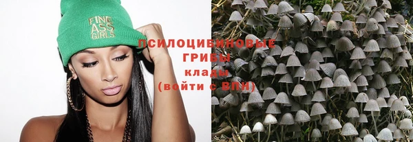 хмурый Богородицк
