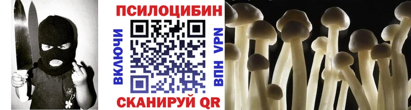 ссылка на мегу онион магазин Ленинградская Галлюциногенные грибы Psilocybe